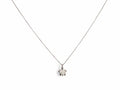 White Gold Turtle Necklace