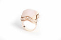 Ring Fly Big  + Pave Diamond